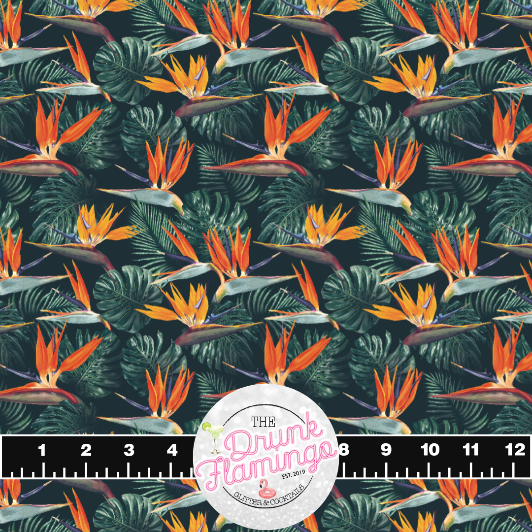 220- Bird of Paradise