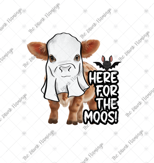 77- here for the moos!  WHITE backed decal