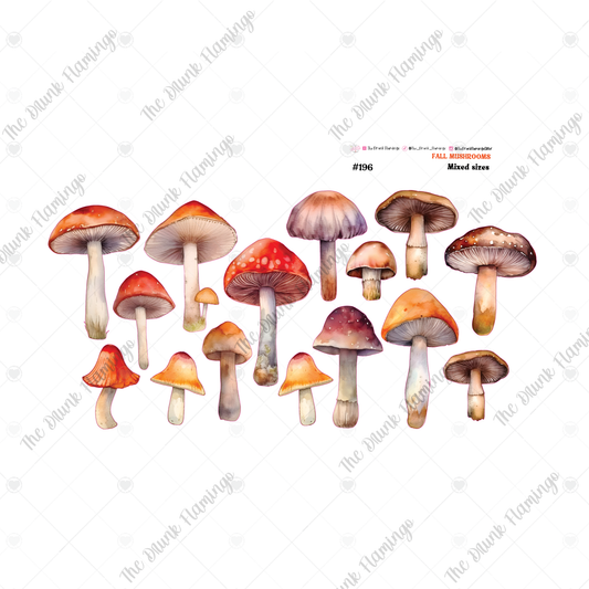 196- Fall Mushrooms white backed decal