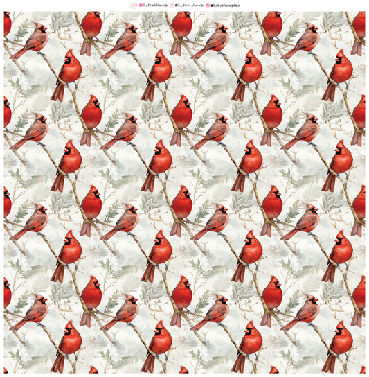 259- Snowy Cardinals