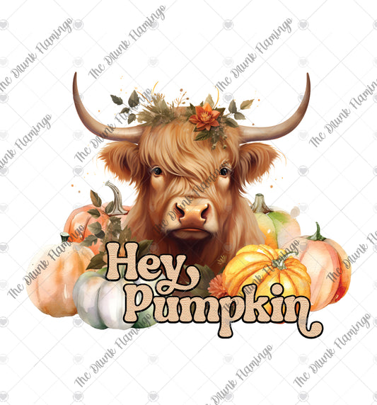 109- Hey Pumpkin Cow WHITE decal